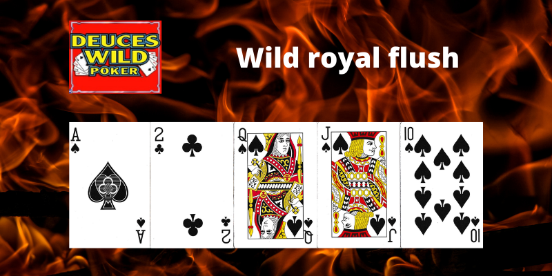 Wild royal flush - Deuces Wild Video poker